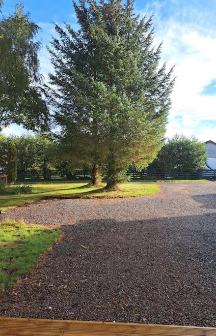 Little Slioch Cottage- A Break From City Life Avoch Exteriör bild